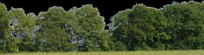 Полоса деревьев