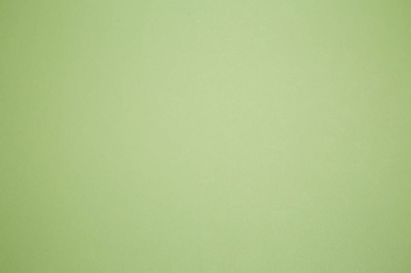 Бледно зеленый фон