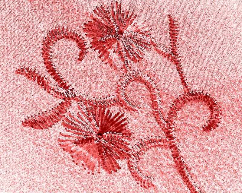 Текстура ткани с вышивкой