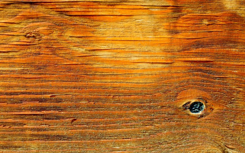 Фактура дерева