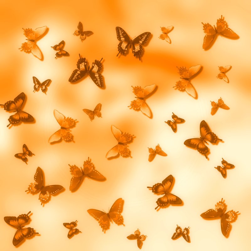 Фон бабочки