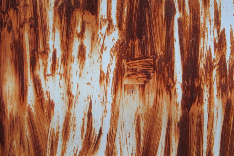Фактура дерева