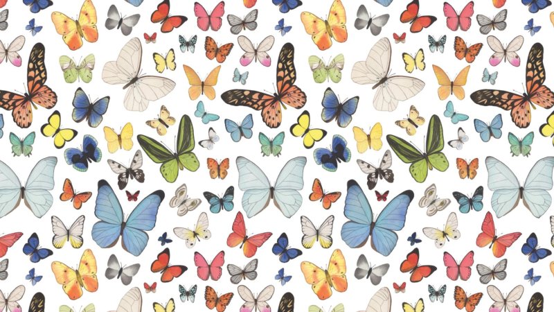 Фон бабочки