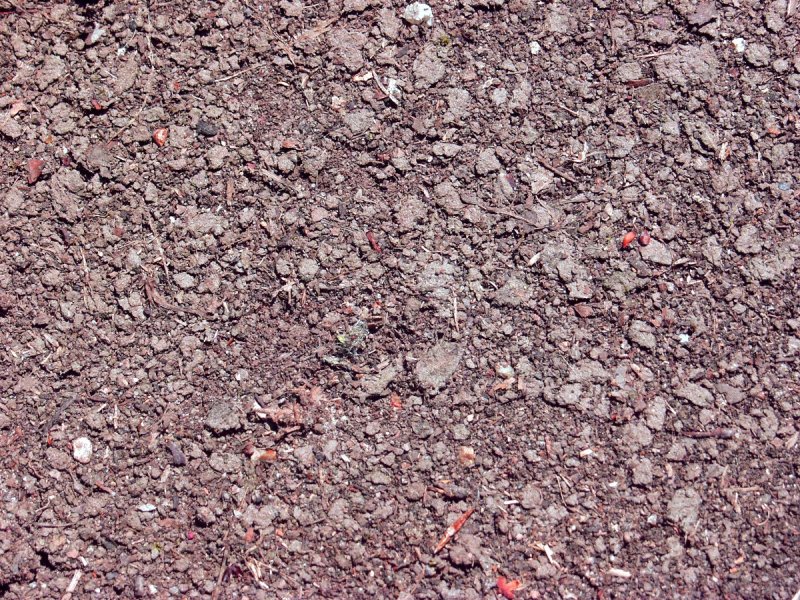 Текстура земли бесшовная чернозем