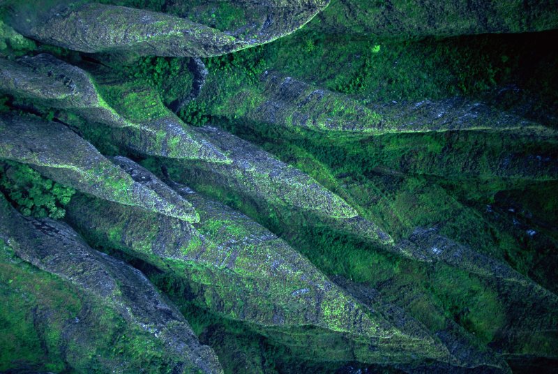 Природные текстуры