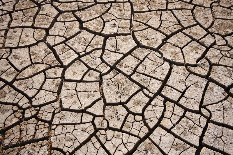 Природные текстуры