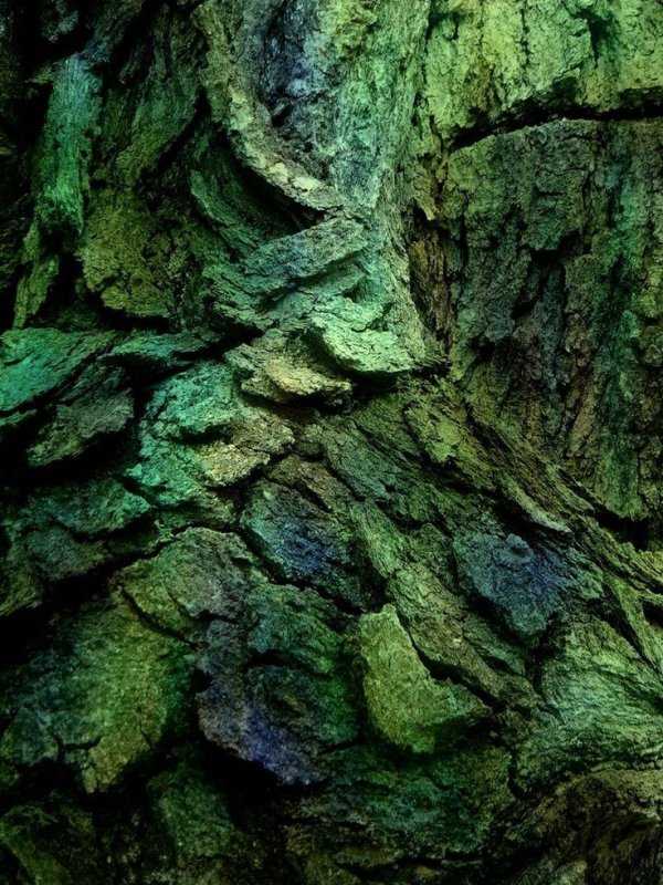 Глубокий зеленый цвет