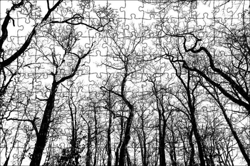 Мрачное дерево