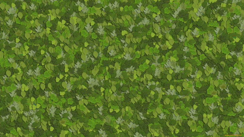 Текстура листвы