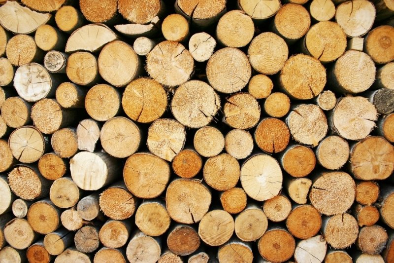 Дерево кругляк