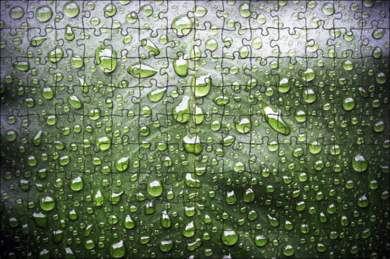 Капли на листьях
