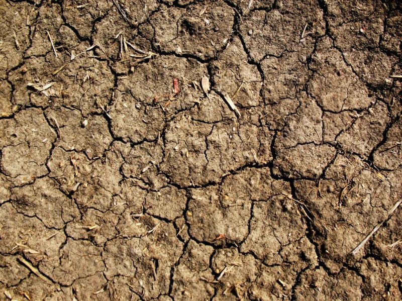 Грунт текстура