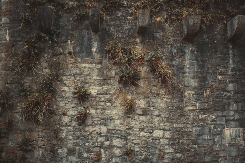 Старая каменная стена