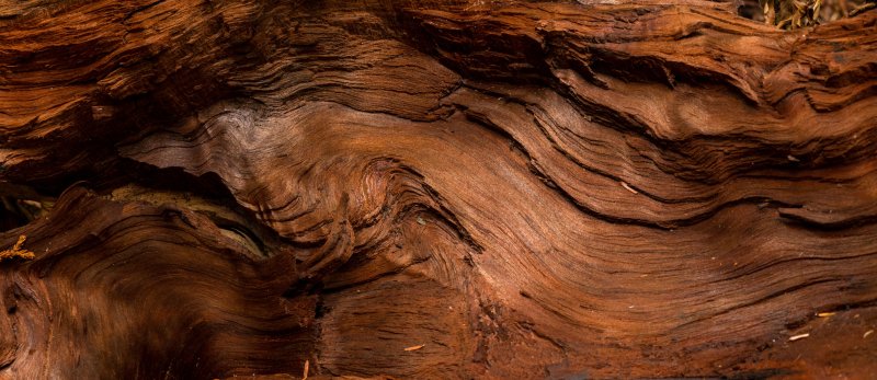 Слэб кедр карагач