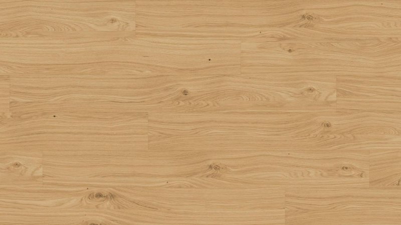 Светлое дерево текстура