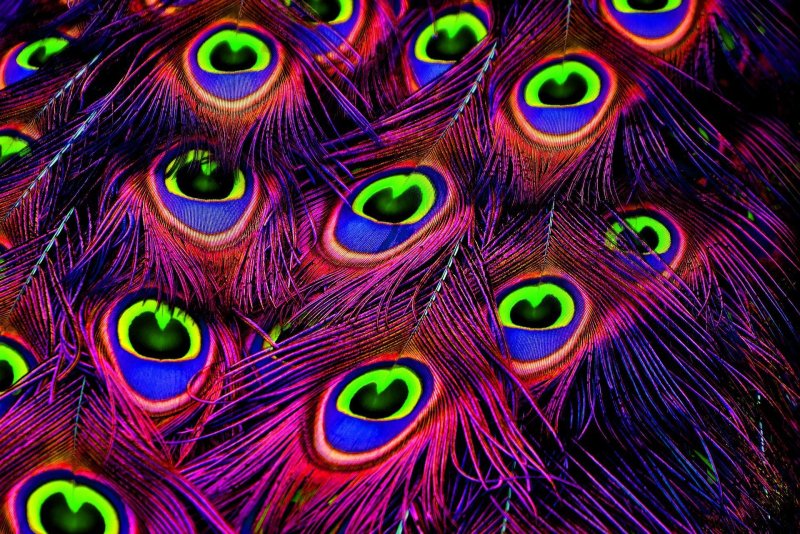 Паттерн Павлин