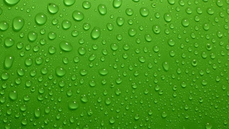 Зеленый фон