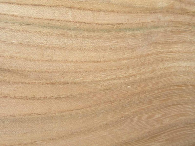 Вяз древесина