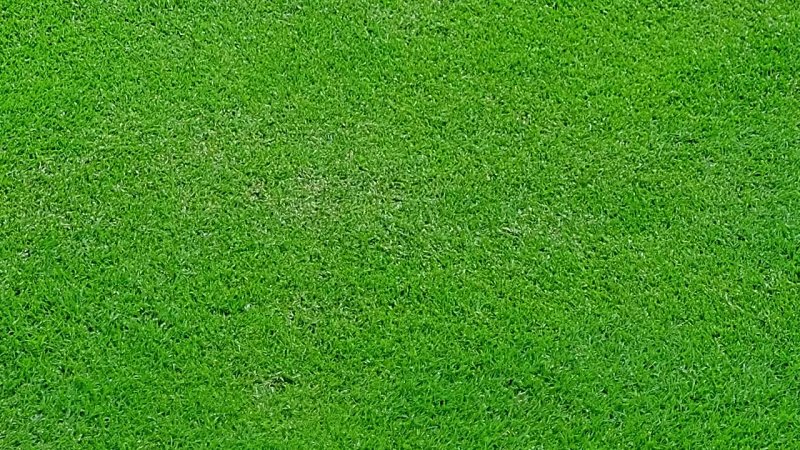 Текстура газона бесшовная для 3d Max