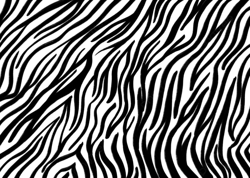 Зебра фон