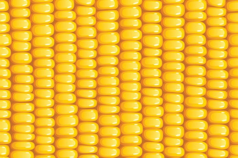 Кукуруза текстура