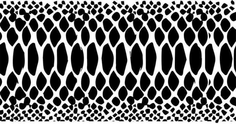 Змеиная кожа вектор