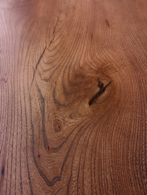 Заболонь карагача