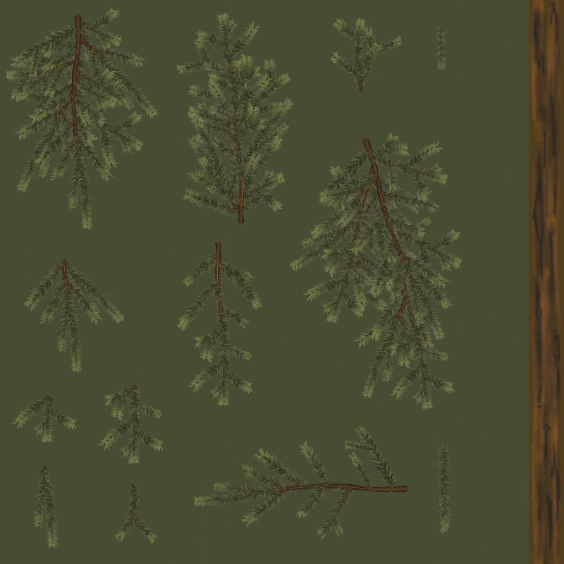 Текстура ветки дерева