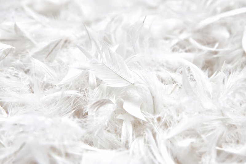 Пухо перьевое сырье