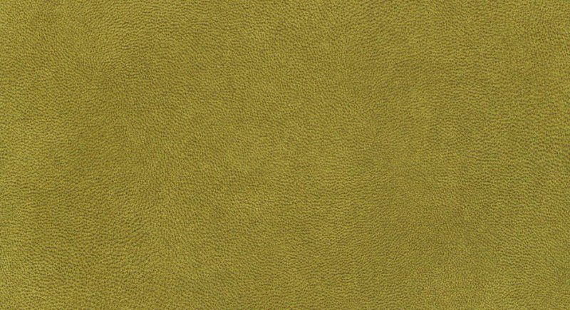 Ткань защитного цвета