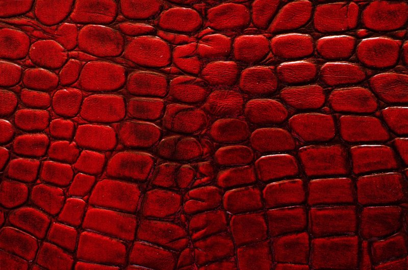 Dragon Skin – «шкура дракона»