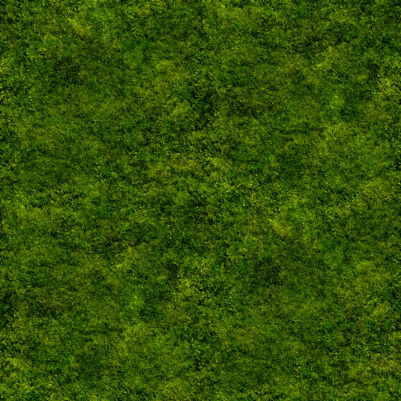 Мох текстура