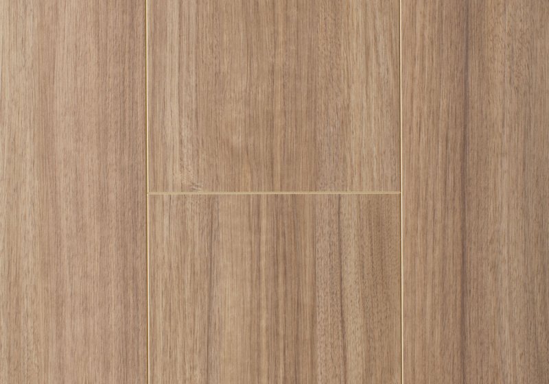 Дуб Шамони 124