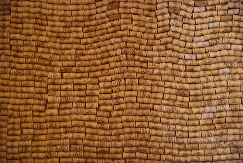 Пробковое дерево текстура