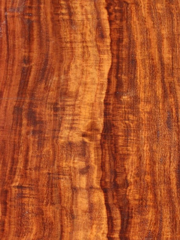 Палисандр структура древесины
