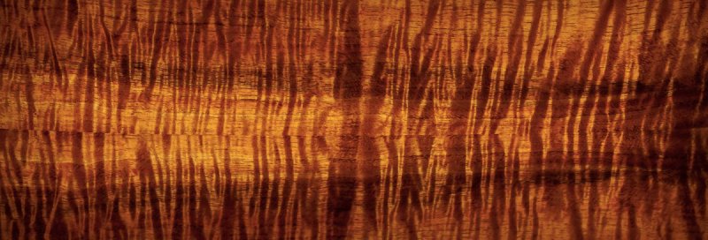 Гавайское дерево КОА