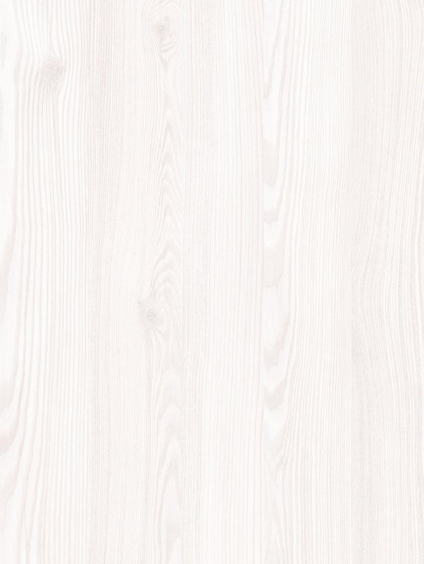 Белая лиственница u2149