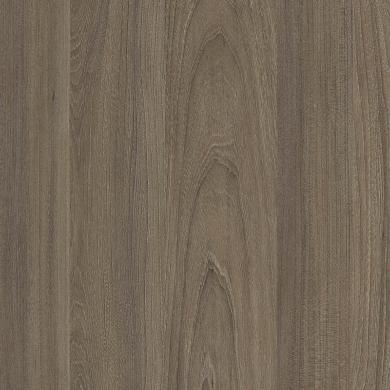 Вяз благородный ЛДСП