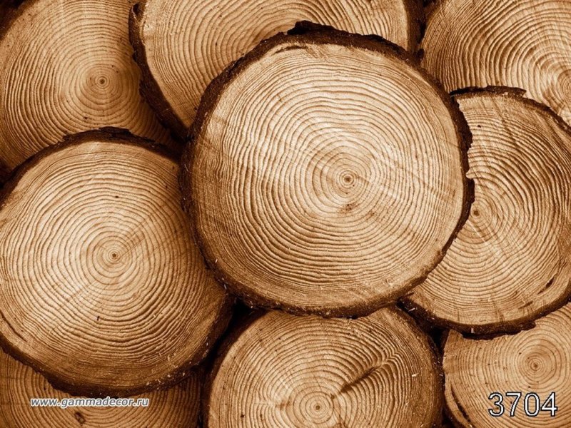 Оцилиндрованное бревно лиственница