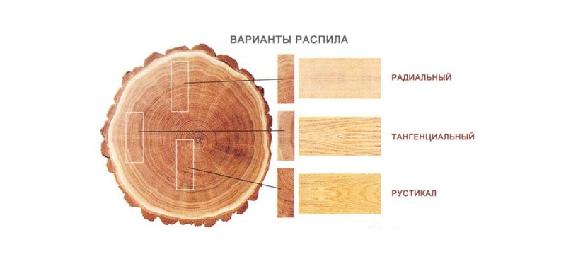 Тангенциальный и радиальный распил дуба