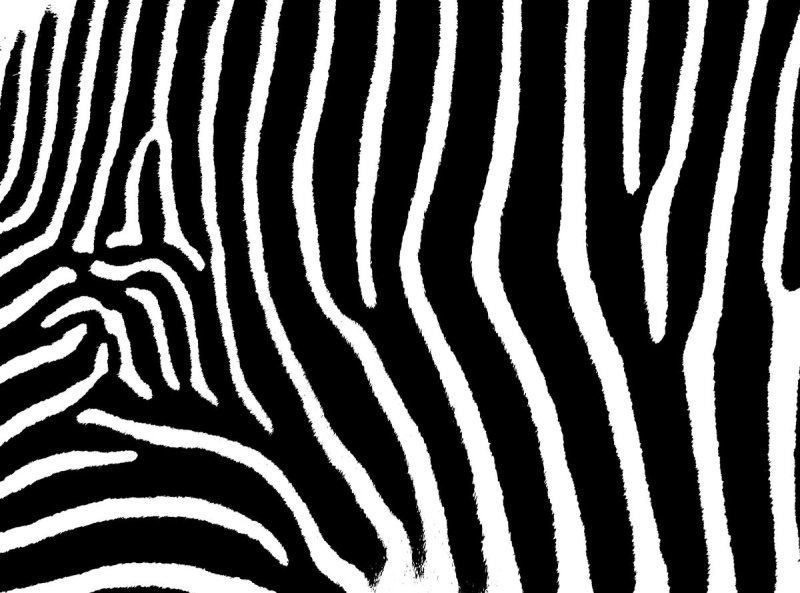 Черно белые полоски