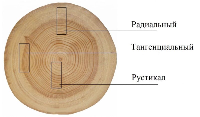 Распил дерева тангенциальный и радиальный