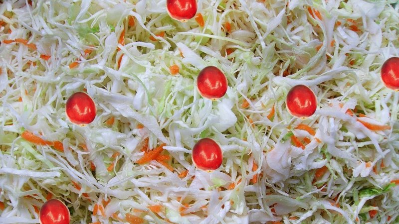 Капуста квашеная на белом фоне