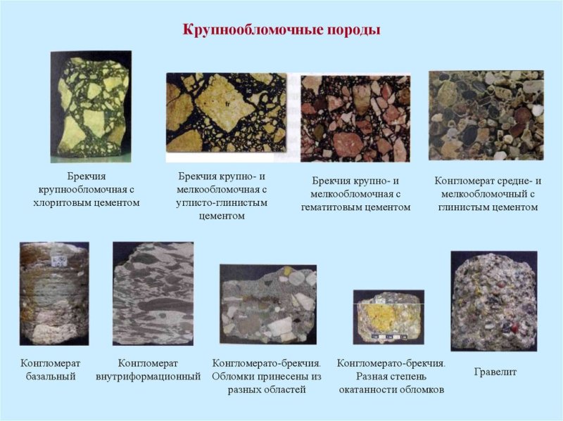 Алевролит структура и текстура