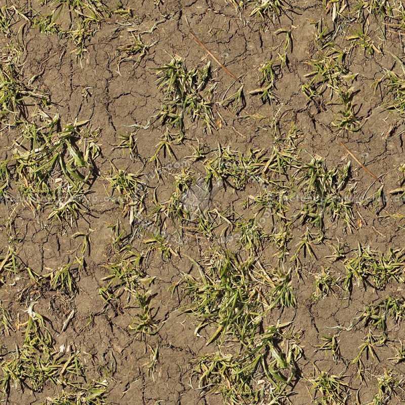 Текстура земли с травой