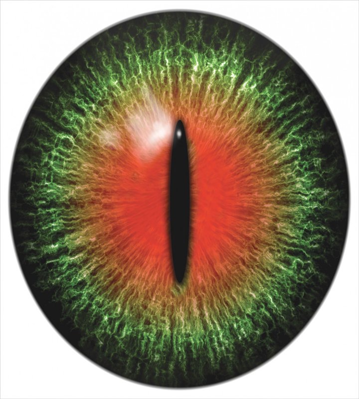 Зеленый зрачок