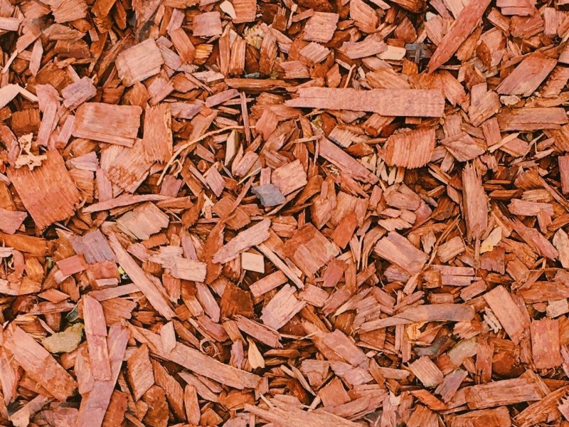 Кора мульча текстура бесшовная