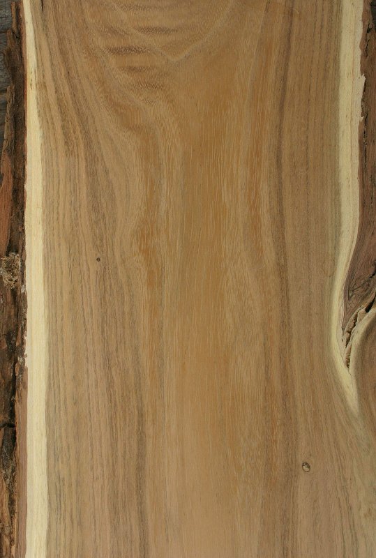 Робиния древесина