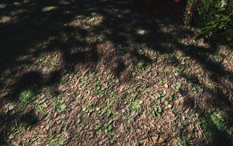 Лесной грунт текстура