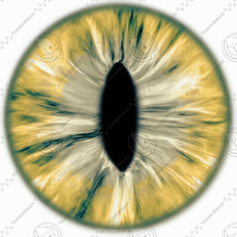 Радужка кошачьего глаза